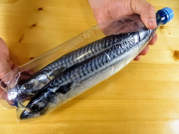 homemade smoked mackerel recipe - My, Cooking, Recipe, Other cuisine, Preparation, Salted fish, Video, Longpost, Mackerel, Smoking