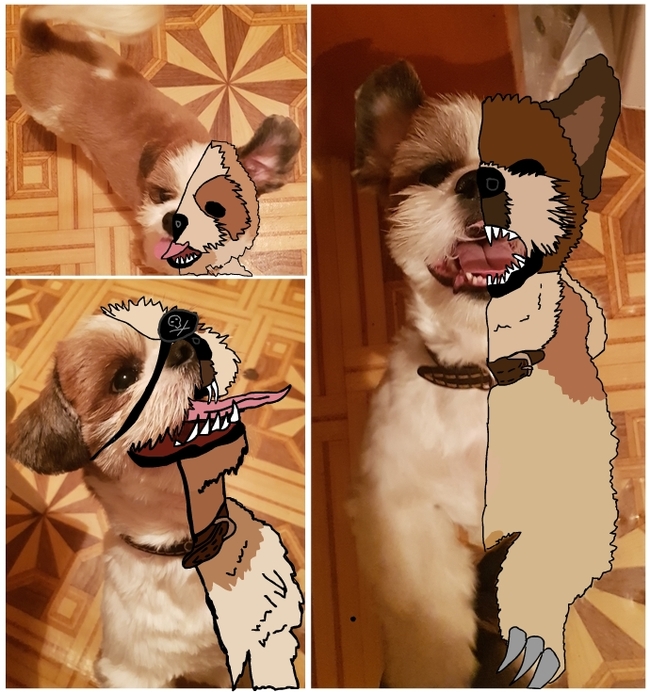 ����������