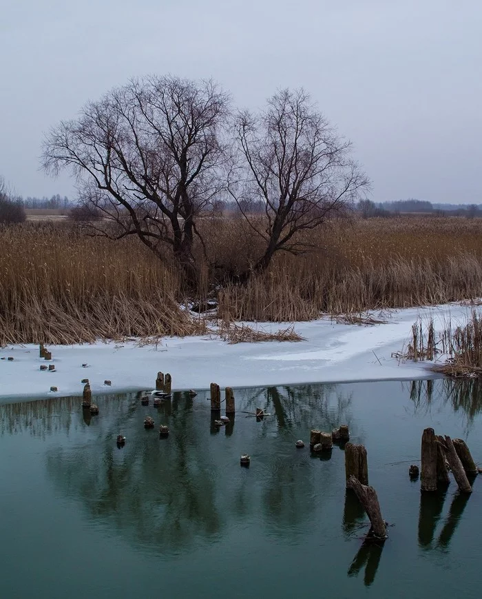 At the former bridge - My, The photo, Landscape, River, Tree, Sony a58