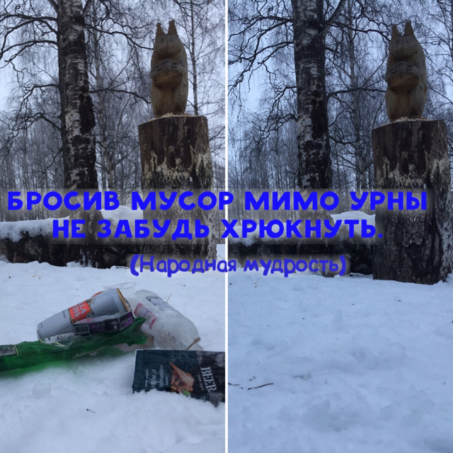 #Trashtag “Winter” - My, Scavenger Kostroma, Kostroma, Saturday clean-up, Ecology, Clean city, Longpost