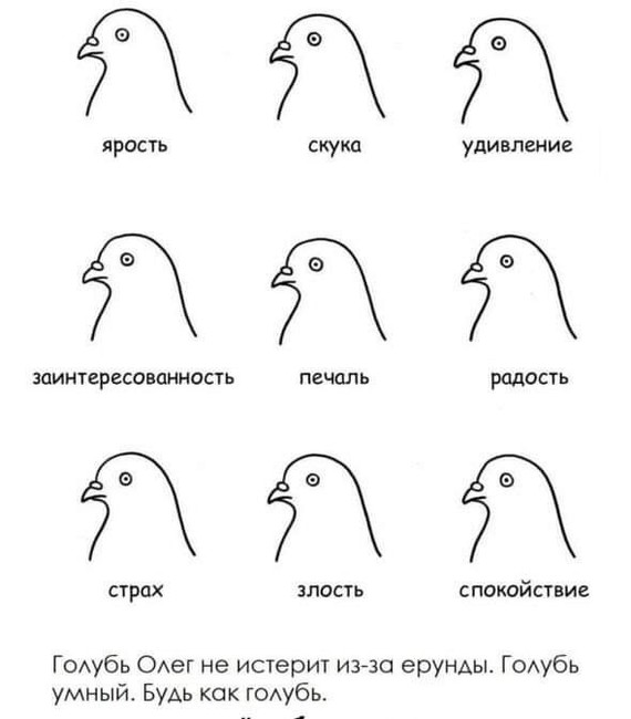 Be like a dove - Pigeon, Oleg