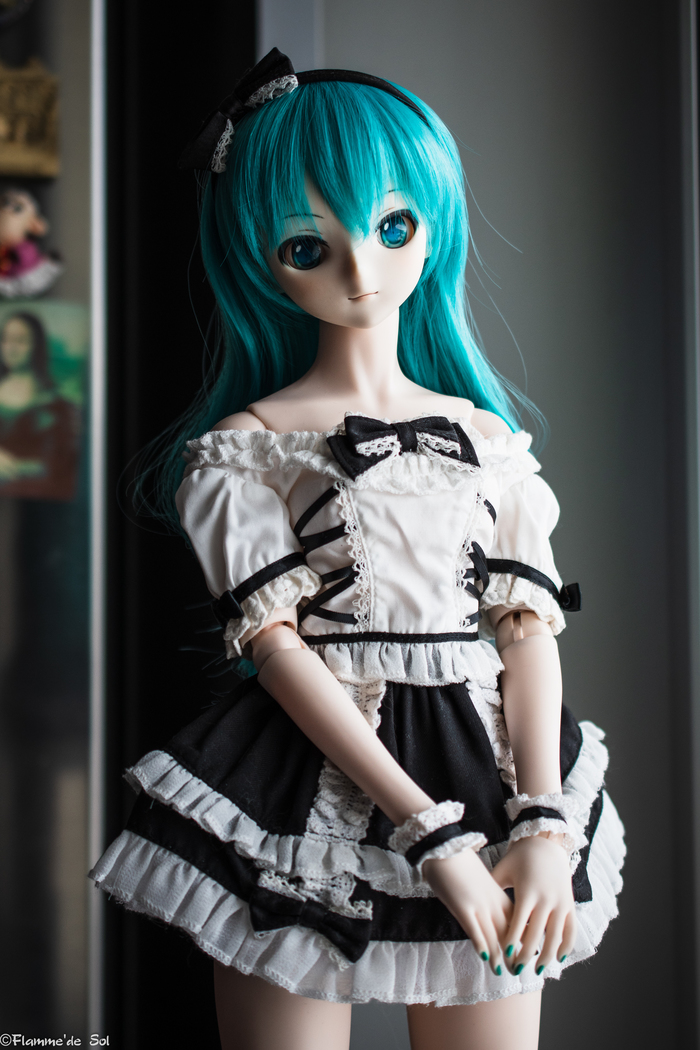 DollfieDream -    Dollfiedream,  , , , , , 