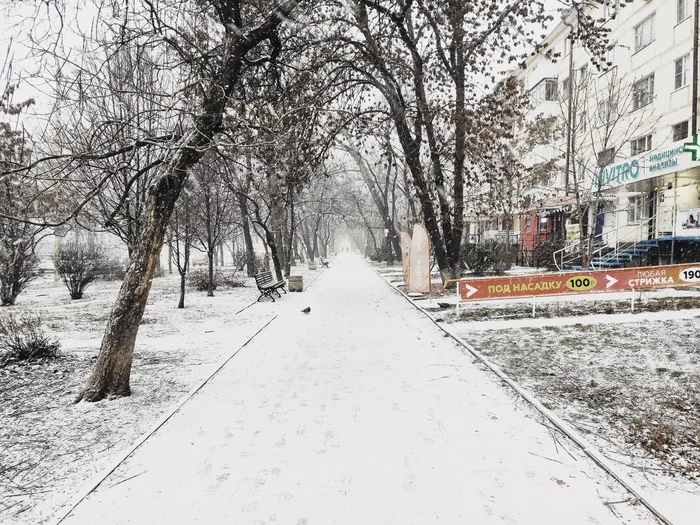 Времена года в Ростове) - Моё, Мобильная фотография, Ростов-на-Дону, Длиннопост