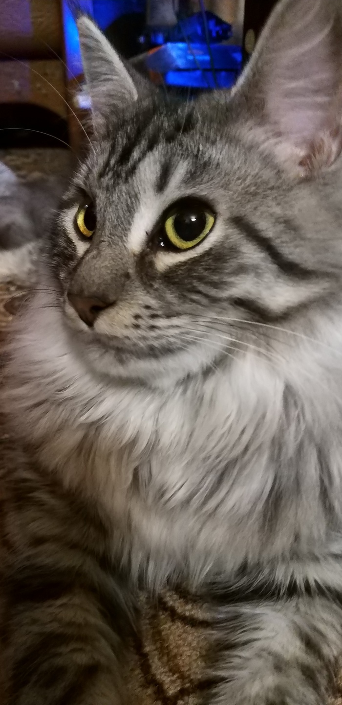    , ,  , 