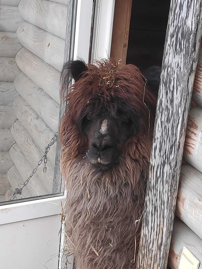 Утром в понедельник тяжело войти в колею