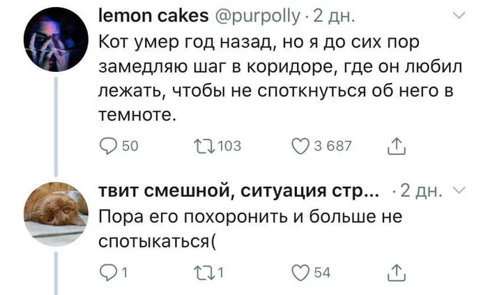 И вправду страшная ситуация... - Twitter, Кот, Скриншот, Черный юмор