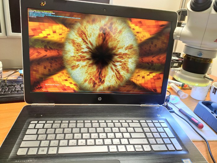 Ремонт ноутбука HP Pavilion 17 Ремонт, Видеочип, Мастерская электроники 78, Видео, Длиннопост