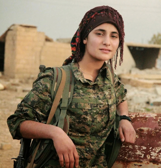 Kurds - Syrian Mowgli - My, USA, Syria, Kurds, Betrayal, Society, Allies, Mowgli, Animals