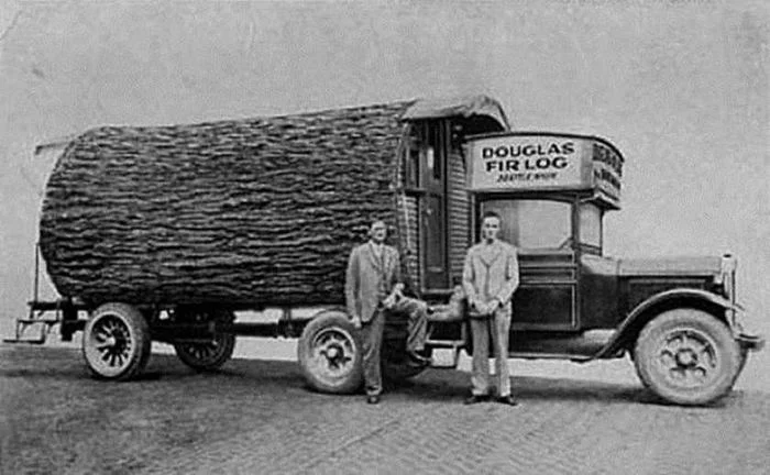 The truck was used for recreation and meals by logging crews long before the popularity of mobile homes. - USA, Truck, House on wheels, Mobile House, Retro, Trunk, Tree
