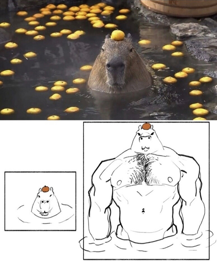  !