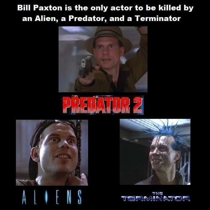 Interesting fact - Bill Paxton, Stranger, Predator 2, Terminator, Actors and actresses, Movies