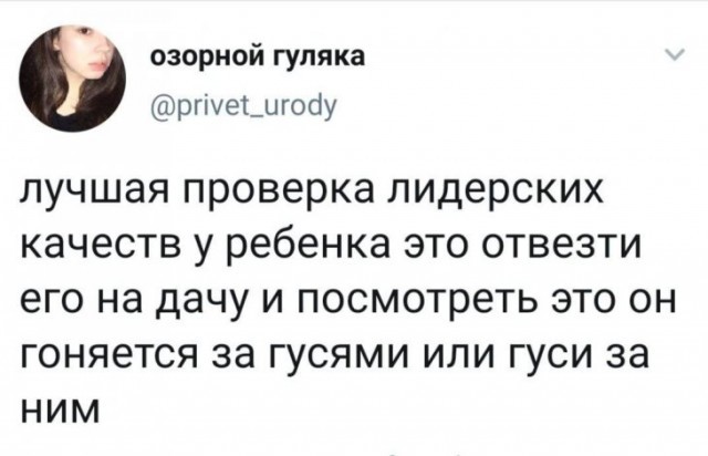 Лучшая проверка) - Twitter, Гусь, Деревня, Проверка, Юмор, Из сети, Скриншот