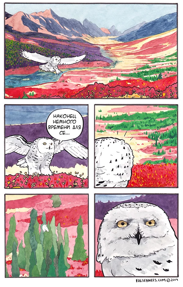 Will never be left alone - Comics, Translation, Birds, Falseknees