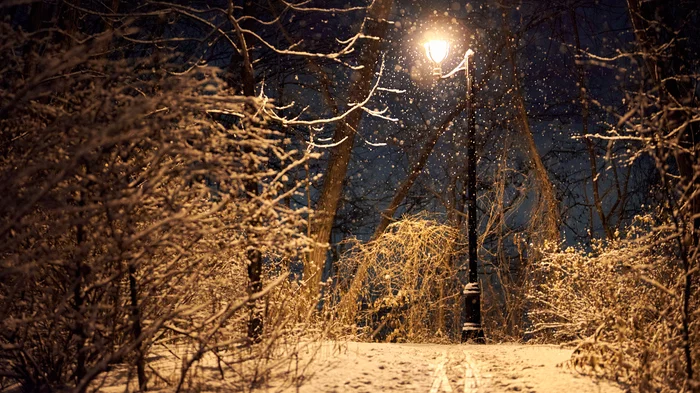 Flashlight - My, Lamp, The street, Winter