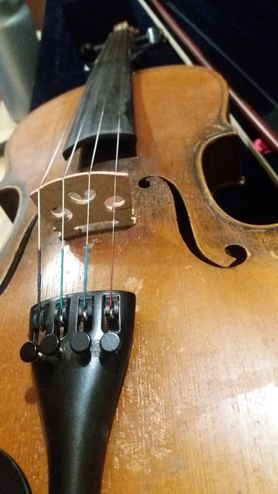 An ancient violin with a Stradivarius tag was found in Astrakhan - news, Astrakhan, Violin, Classical music, Antonio Stradivari, Longpost