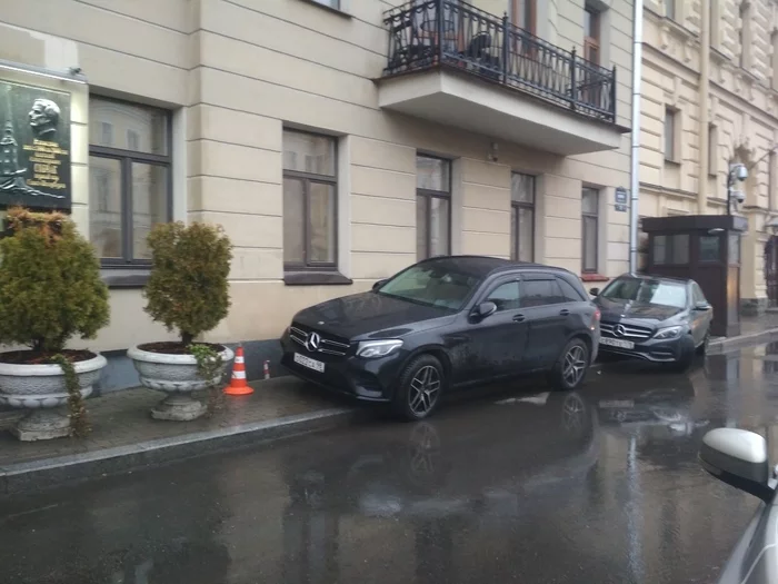 No matter how the traffic police pretends to fight it - My, Mikhail Boyarsky, Violation of traffic rules, Parking, Cattle, Saint Petersburg, Negative