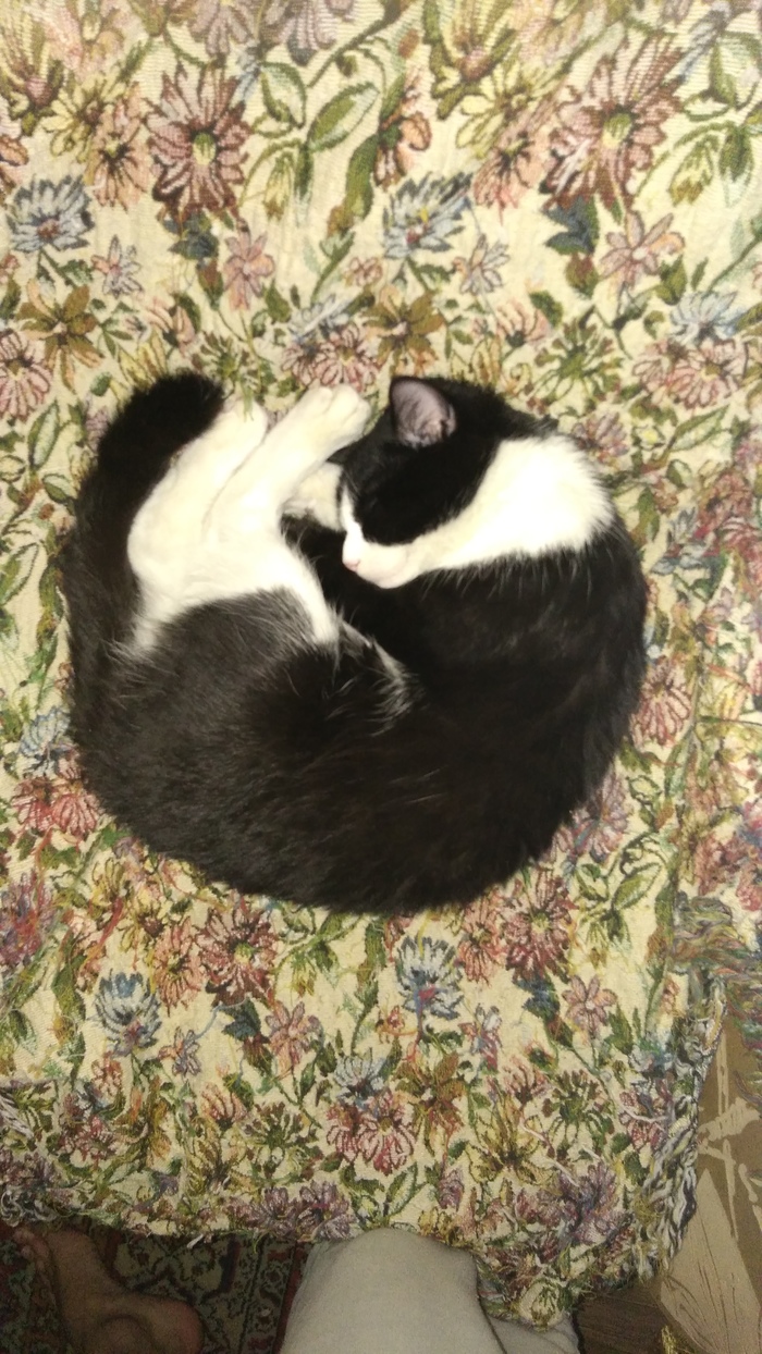 ���� �� ������ ������))