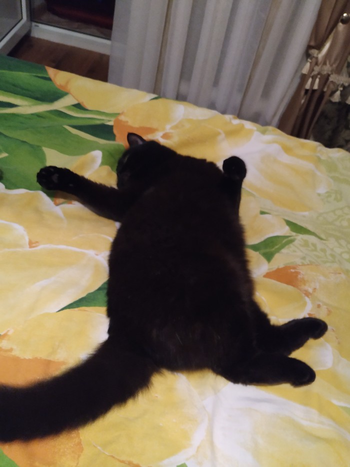    , , , 