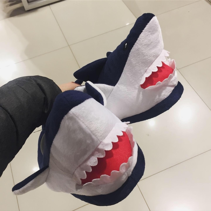 Shark-����� �����