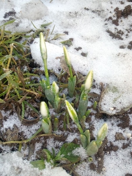 What did the month brothers drink? - Abnormal weather, Donetsk, Longpost