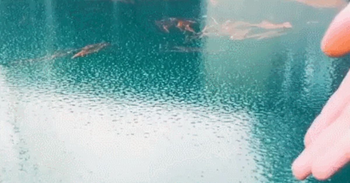 Soft ice - Ice, Water, Sludge, GIF