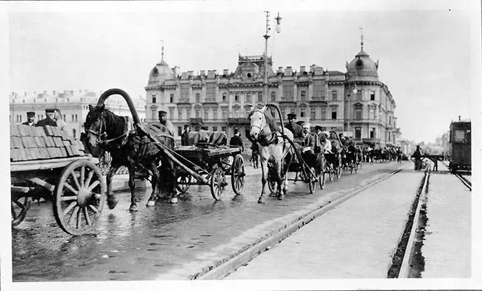 Traffic jam in Moscow and biominibus - Horses, Carts, Transport, Animals, Traffic jams, Moscow, The photo