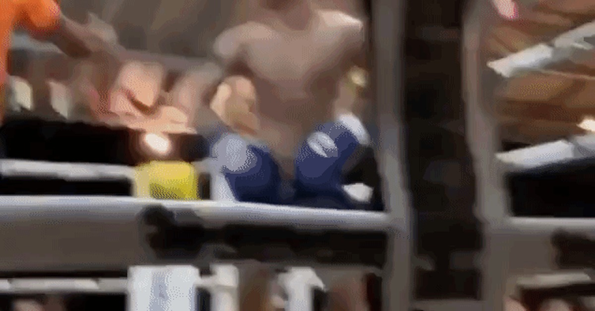 Friendship won! - Sport, Martial arts, Fight, Knockdown, GIF