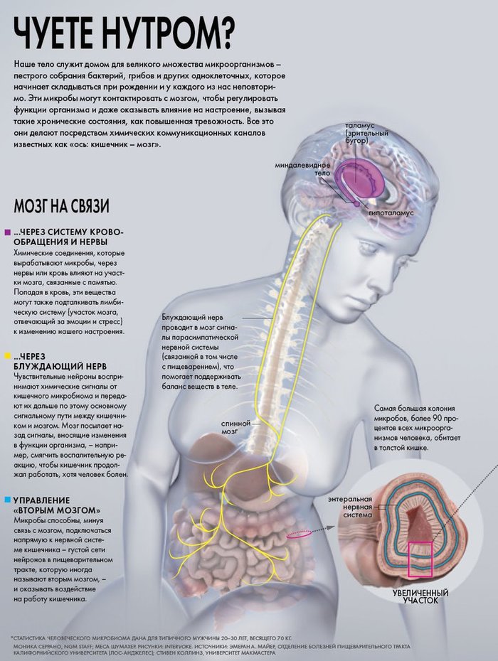   :   The National Geographic, , 