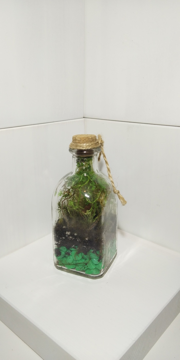 Сколько люменов нужно для клубники. 1579555836167038969. Сколько люменов нужно для клубники фото. Сколько люменов нужно для клубники-1579555836167038969. картинка Сколько люменов нужно для клубники. картинка 1579555836167038969. Озвученная технология подходит как для промышленных масштабов, так и для выращивания клубники в домашних условиях (отличие только в размерах помещения и количестве урожая).