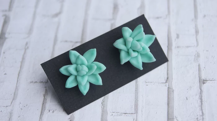 Handmade succulents studs - My, Succulents, Pusets, Earrings, Handmade, Polymer clay, Flowers, Decoration, Presents, Longpost