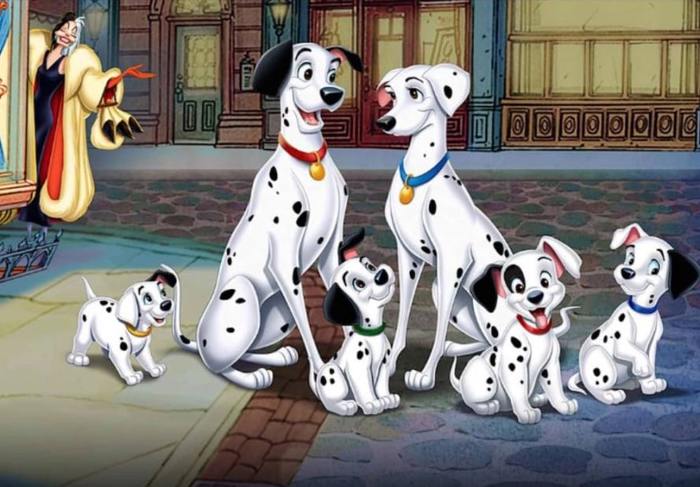 Dalmatian - My, No rating, Dalmatian, Dog