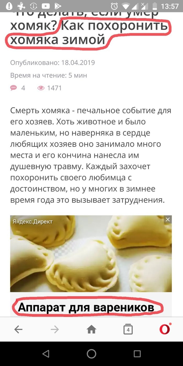 что делать с мертвым хомяком зимой. Смотреть фото что делать с мертвым хомяком зимой. Смотреть картинку что делать с мертвым хомяком зимой. Картинка про что делать с мертвым хомяком зимой. Фото что делать с мертвым хомяком зимой