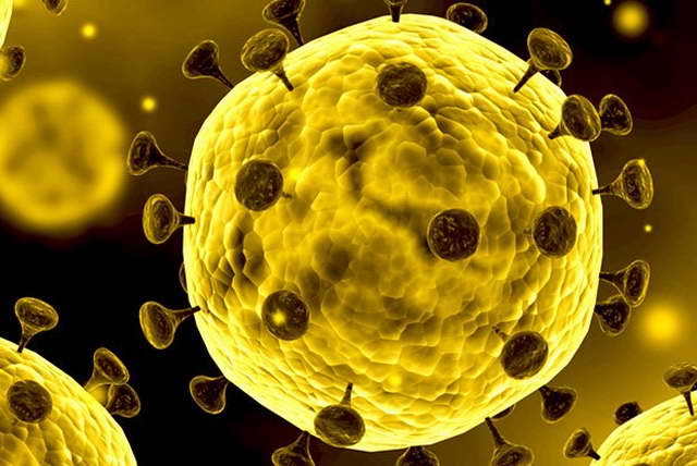 Chinese authorities warn of the threat of the spread of a new coronavirus - China, Wuhan, Coronavirus, Mutation, USA, WHO, Interfax, Rospotrebnadzor, Video, Longpost