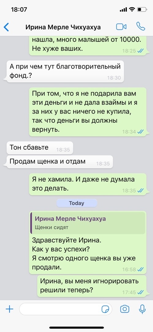 Мошенничество при продаже щенков - Помски, Мошенничество, Недобросовестный заводчик, Обманщики, Лига юристов, Длиннопост, Юридическая помощь