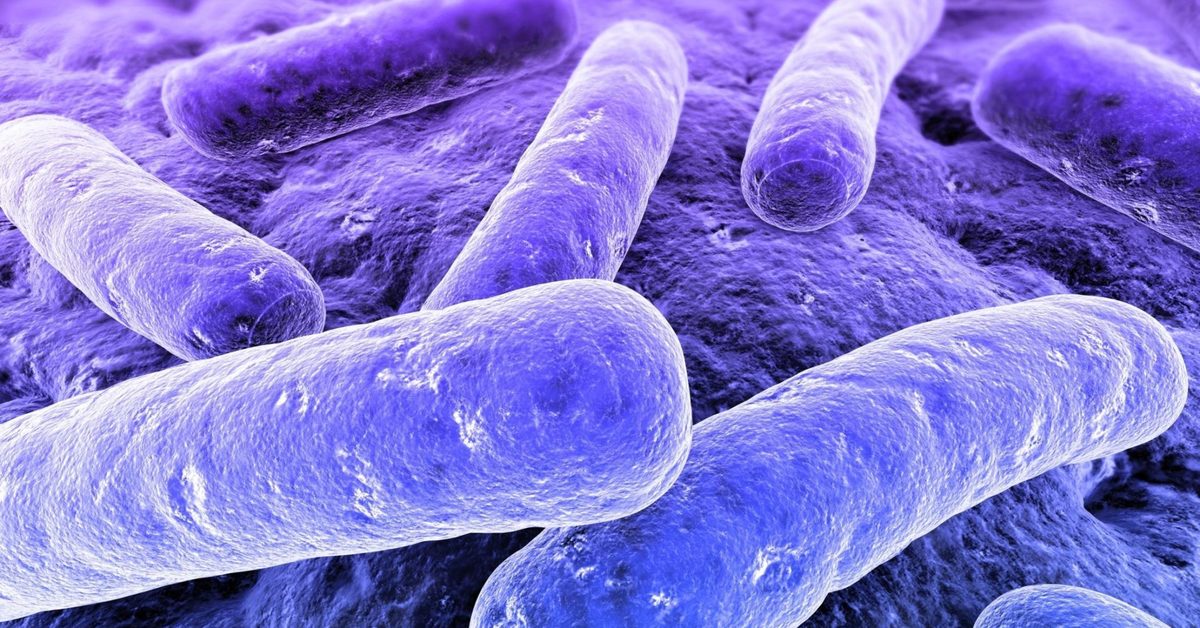 Первичный туберкулезный комплекс лабораторная диагностика. Туберкулез это инфекционное заболевание. Палочка коха (mycobacterium tuberculosis). Микобактериум туберкулезис. Палочка коха туберкулез.