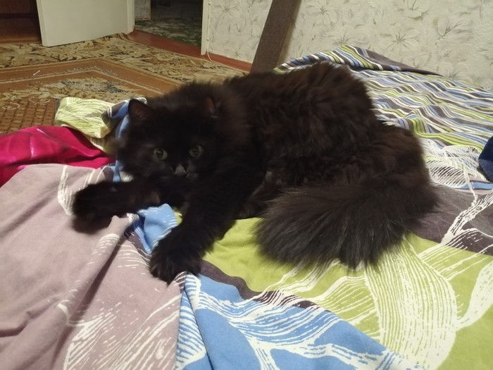 Когда заняли внаглую твоё место