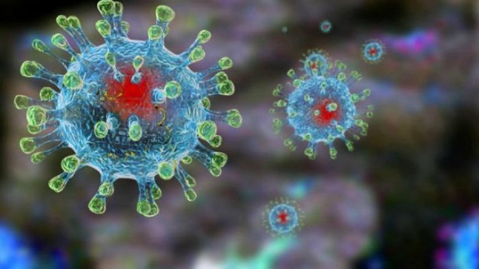Coronavirus is spreading - WHAT'S NEXT? - My, Virus, Epidemic, Coronavirus, China, Video, Longpost