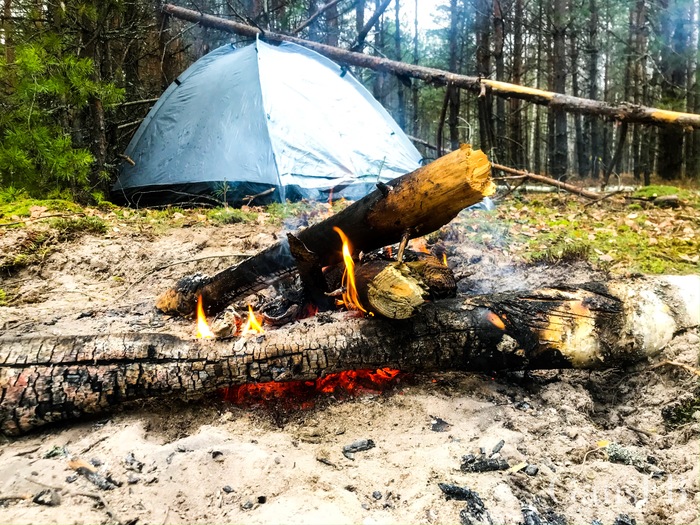  EDC.        ,   , EDC, , Survival, 