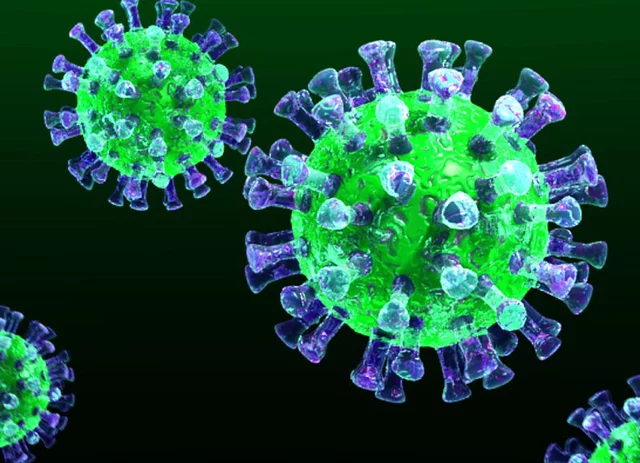 What is human coronavirus - Virus, China, Epidemic, Coronavirus