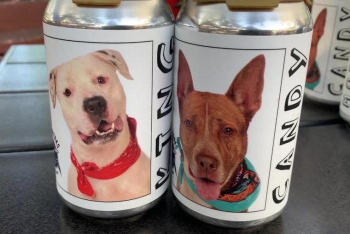 American brewery puts photos of shelter dogs on its cans - Dog, Beer, Animal shelter, Positive