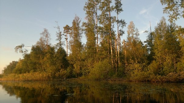 Покатушки по островам большой Вуоксы - Моё, Карельский перешеек, Природа, Водный поход, Фотография, Озеро Вуокса, Длиннопост