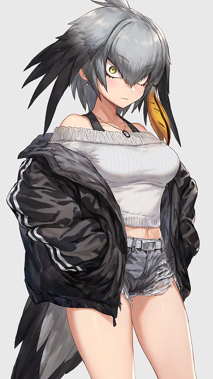 Shoebill - Anime, Anime art, Kemono friends, Shoebill, A selection, Longpost