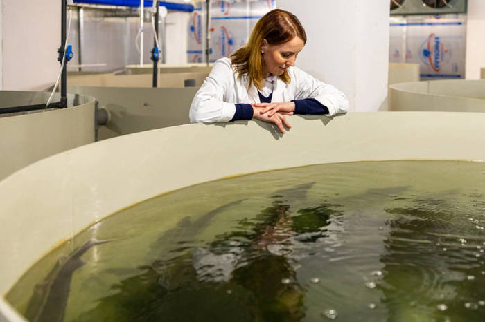 Как в Казани производят натуральную чёрную икру Производство, Как это сделано, Завод, Фабрика, Продукты, Длиннопост Как в Казани производят натуральную чёрную икру Производство, Как это сделано, Завод, Фабрика, Продукты, Длиннопост