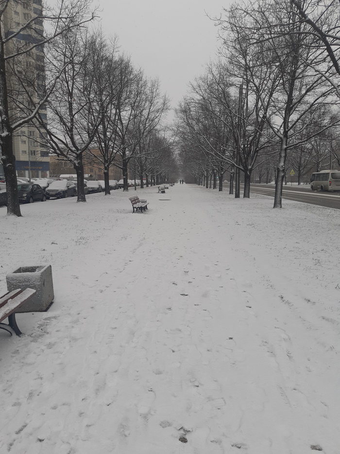 Практически первый снег в Питере в 2020 году Первый снег, Санкт-Петербург, Фотография
