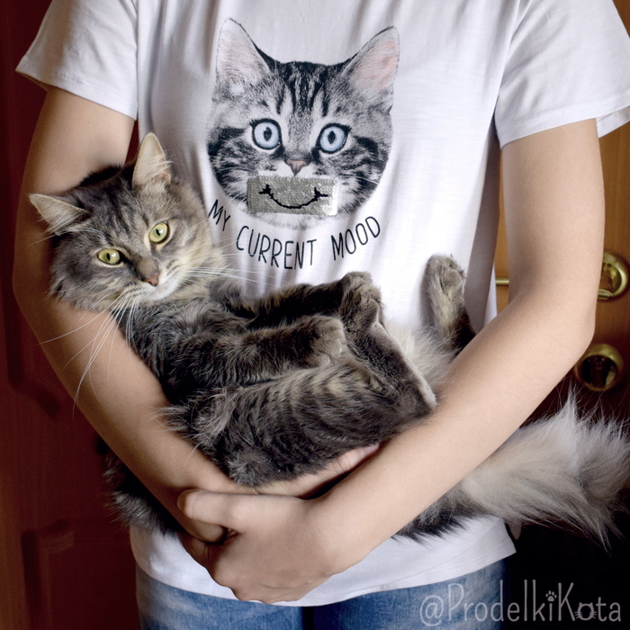 Настроение - хочу на ручки