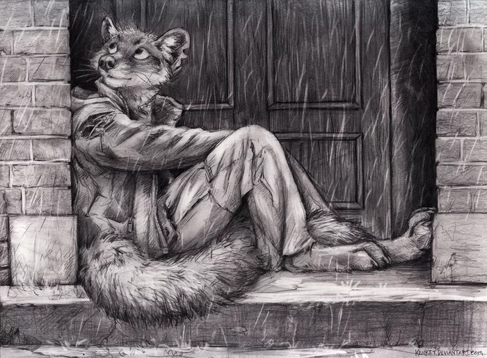 Hiding from the rain - Furry, Rain, Kenket