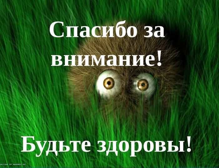 Эй ушастик, сгоняй за сигами... - Моё, Дикие нравы, Быдло, Конфликт, Жулики