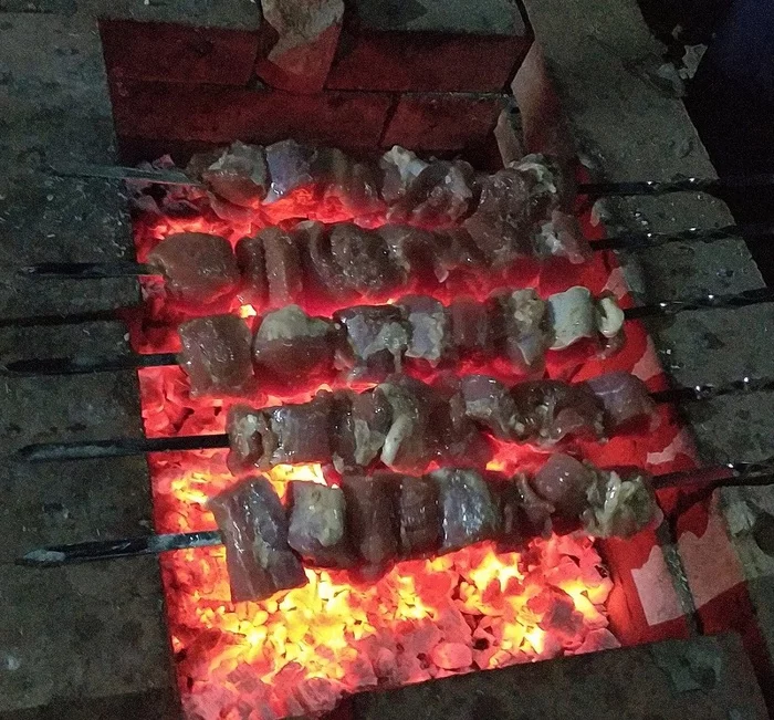 Кулинарная одиссея. Выпуск 2.  Шашлык дома Тысячи Кошек - Моё, Шашлык, Кулинария, Юмор, Длинное, Длиннопост