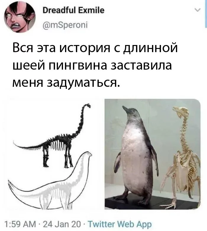 Пухленькие динозавры - Юмор, Пингвины, Динозавры, Twitter