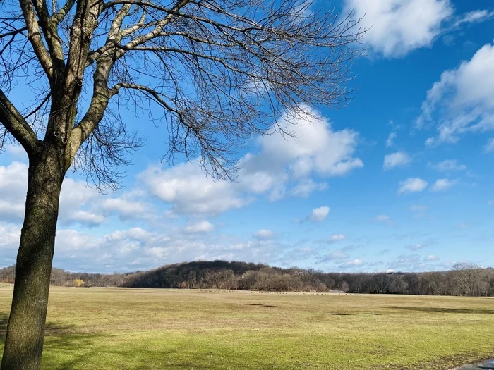 Van Cortlandt Park - My, The photo, Winter, The park, USA, Text, Longpost